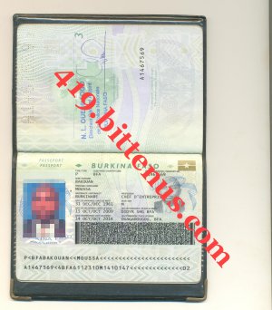 Passport Elhadji aus Burkina
